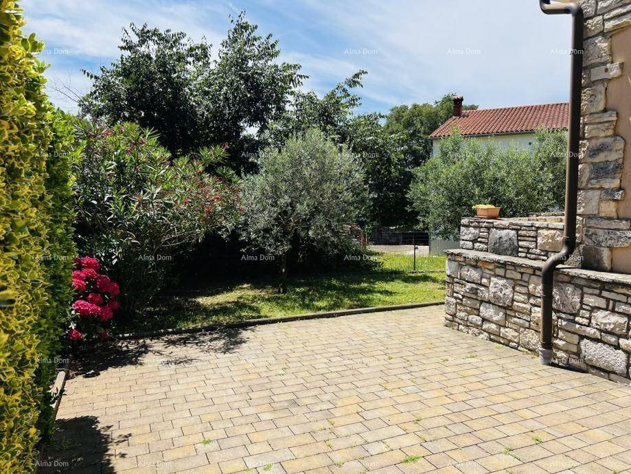 Gepflasterter Außenbereich neben dem Haus, umgeben von üppigem Grün und Bäumen unter strahlendem Himmel.