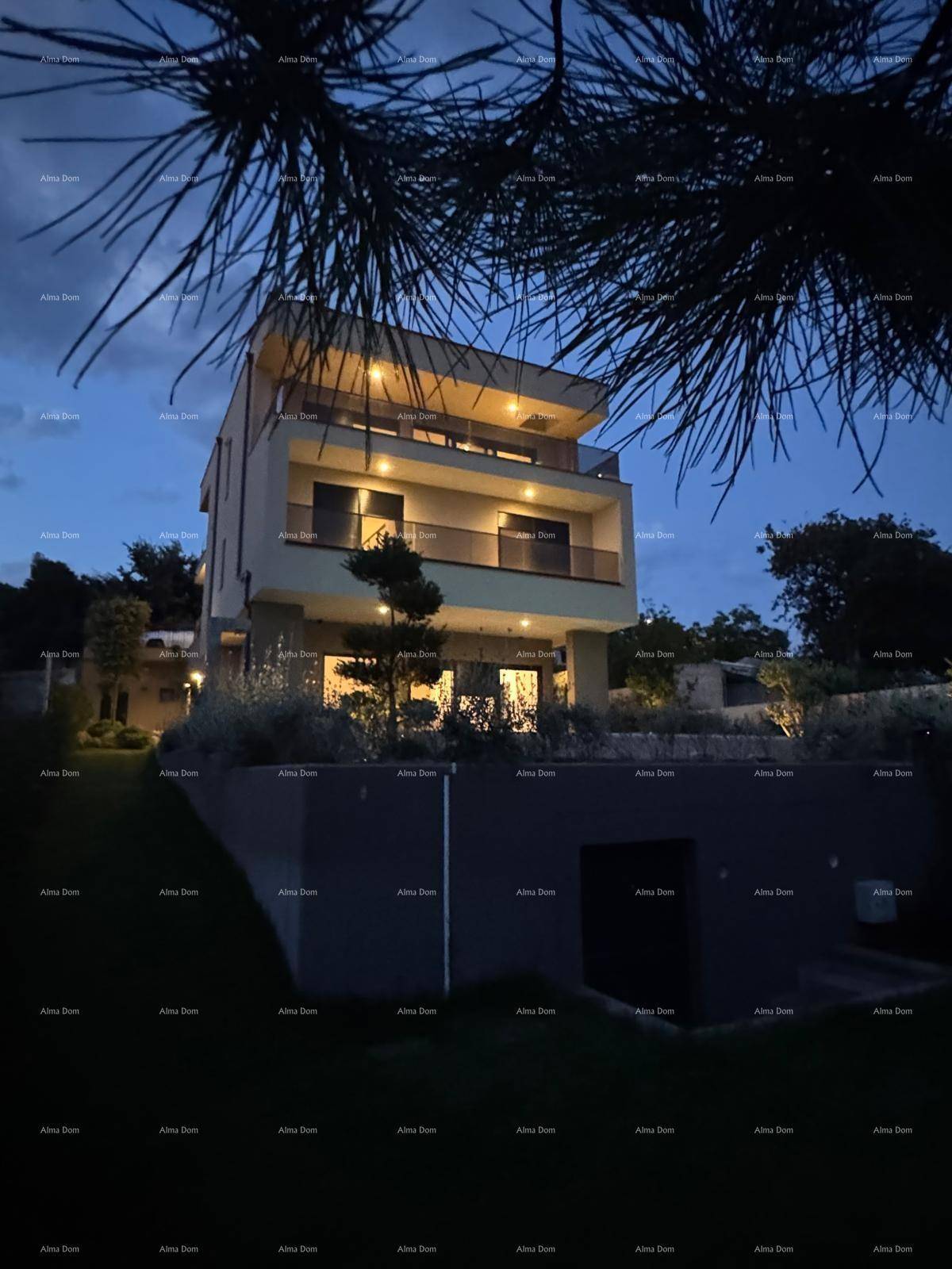 Moderne Villa bei Nacht, umgeben von Bäumen, mit dezent beleuchteten Innenräumen.