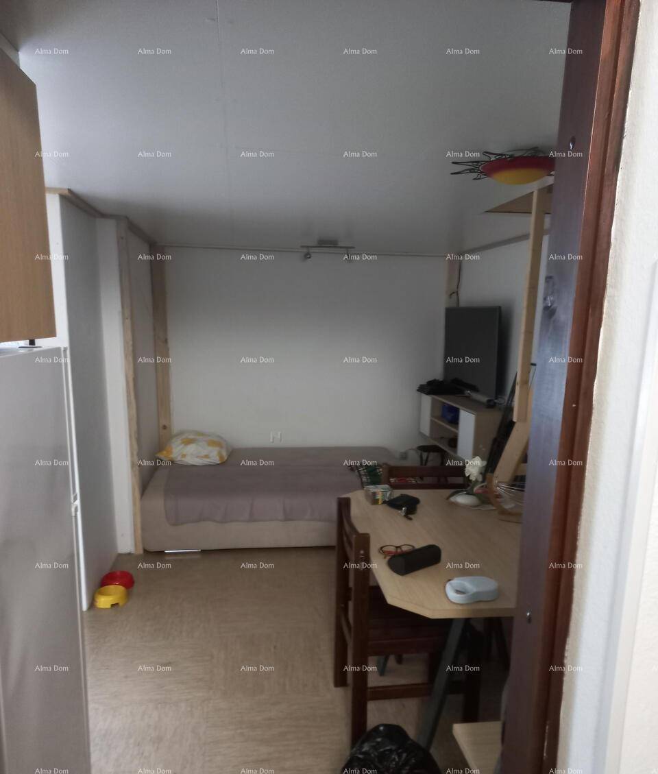 Kombinierter Wohn- und Essbereich mit Schlafgelegenheit und einem Fernseher an der Wand.