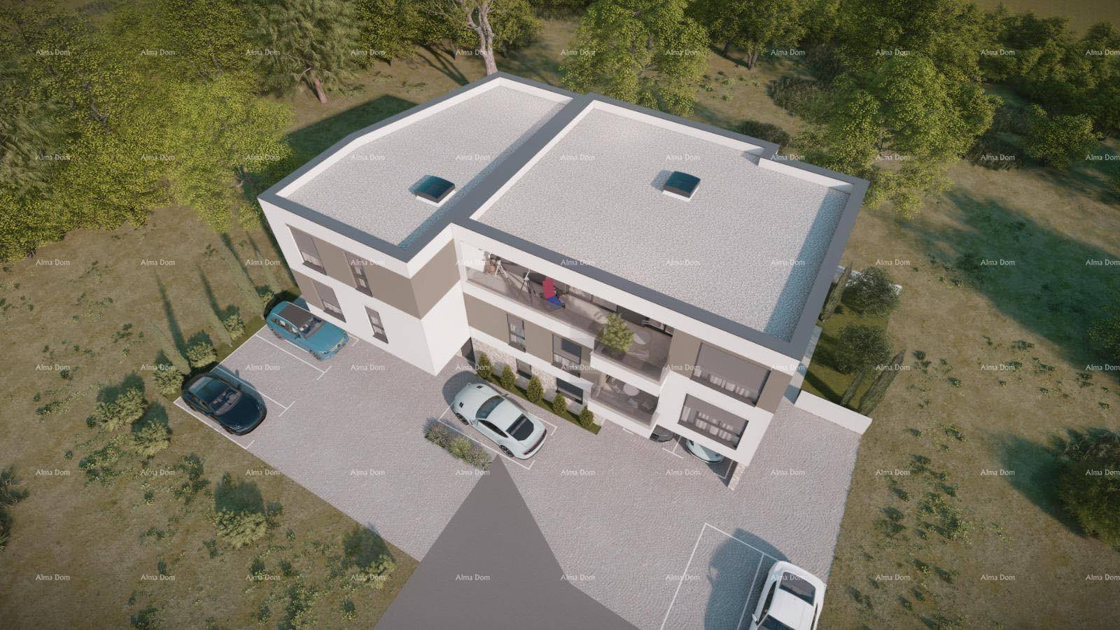Slide 7