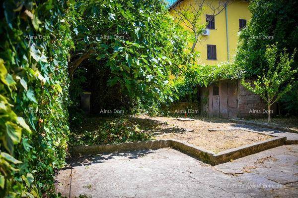 Gartenbereich mit viel Grün, einem kleinen Schuppen und einem gelben Haus im Hintergrund.