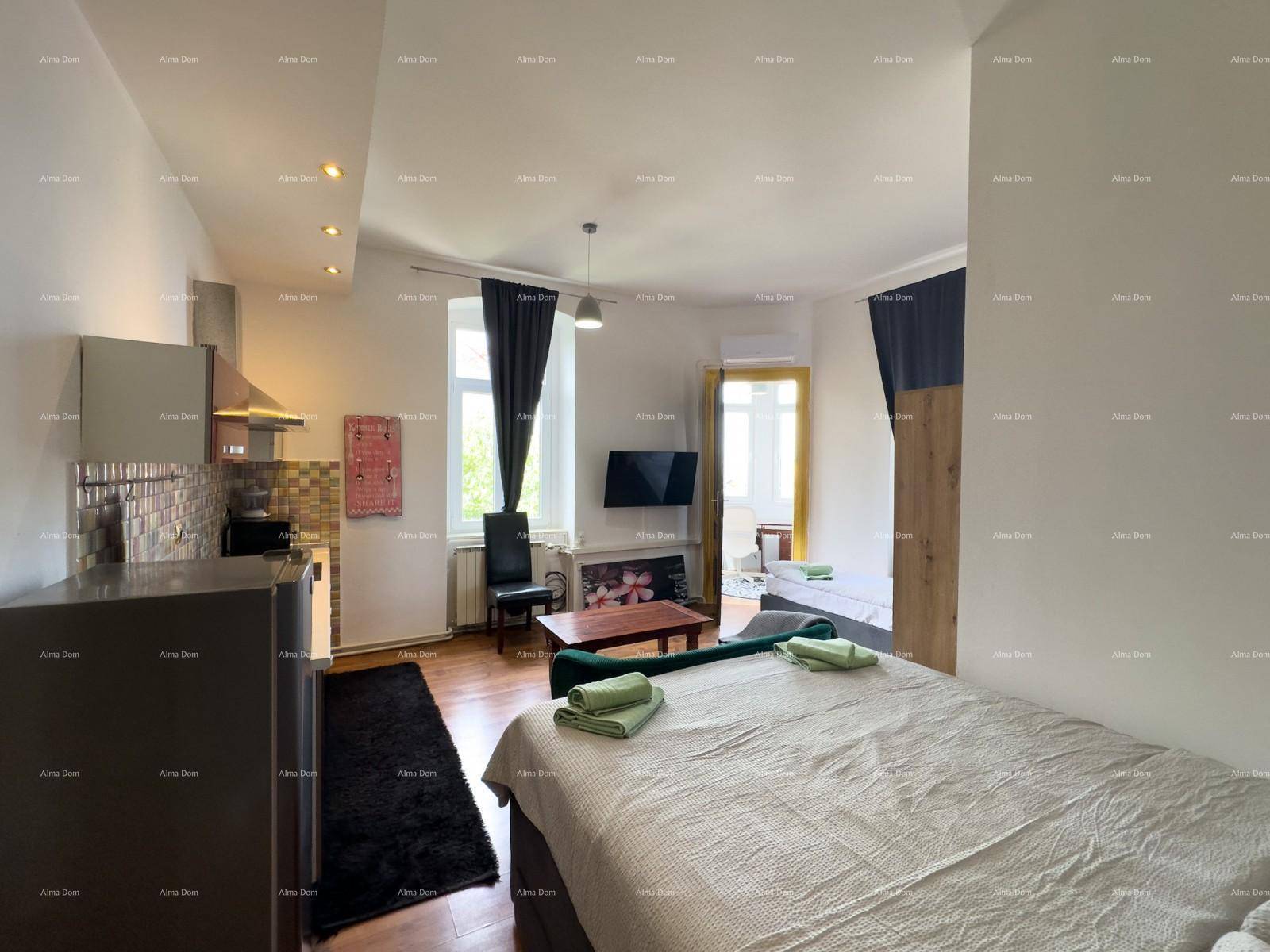 Geräumiges Studio-Apartment mit Schlafbereich, Wohnbereich und integrierter Küchenzeile.