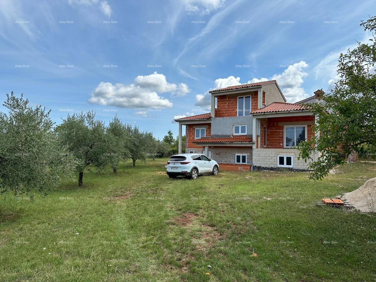Weitläufiges Grundstück mit Olivenbäumen und dem im Bau befindlichen Wohnhaus.