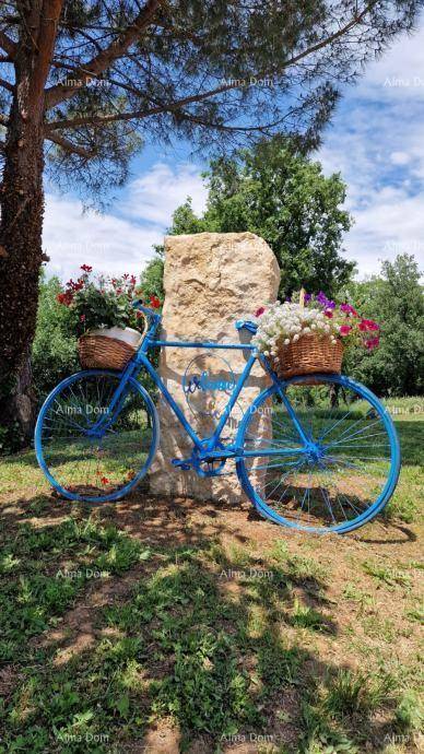 Dekoratives blaues Fahrrad mit Blumenkörben, das eine charmante Note im grünen Garten setzt.