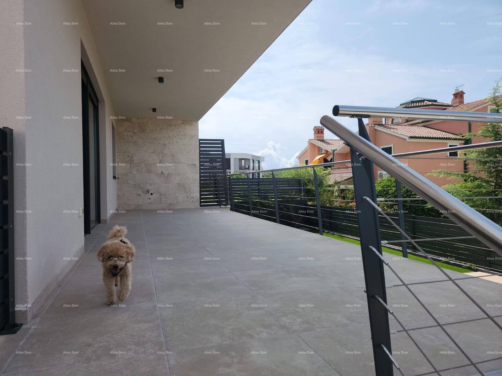 Große geflieste Terrasse mit modernem Geländer und einem kleinen Hund, der die Umgebung erkundet.