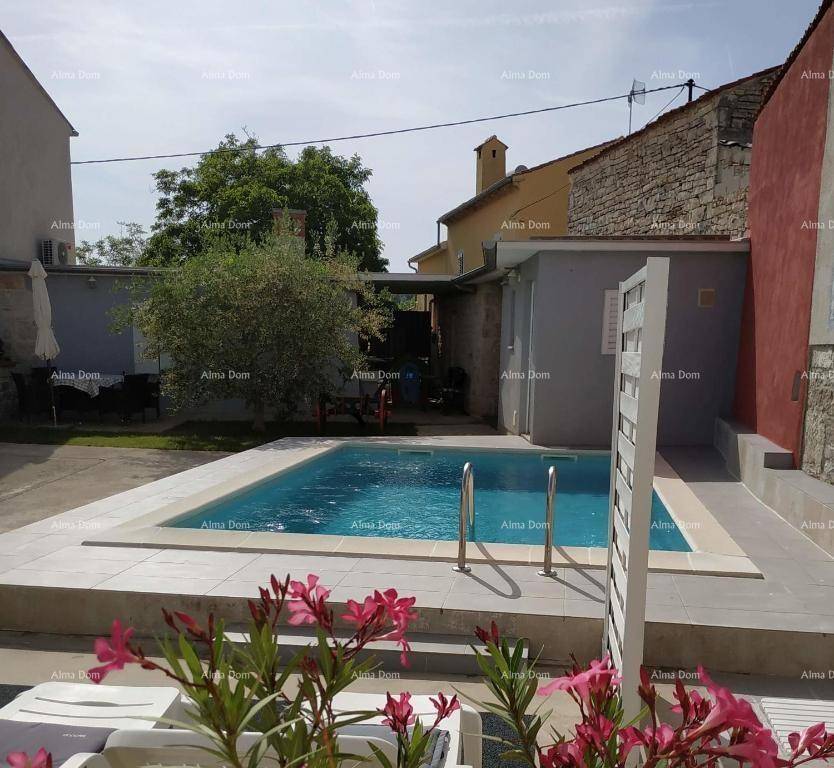 Außenansicht des Anwesens mit Pool, Garten und blühenden Pflanzen im Vordergrund.