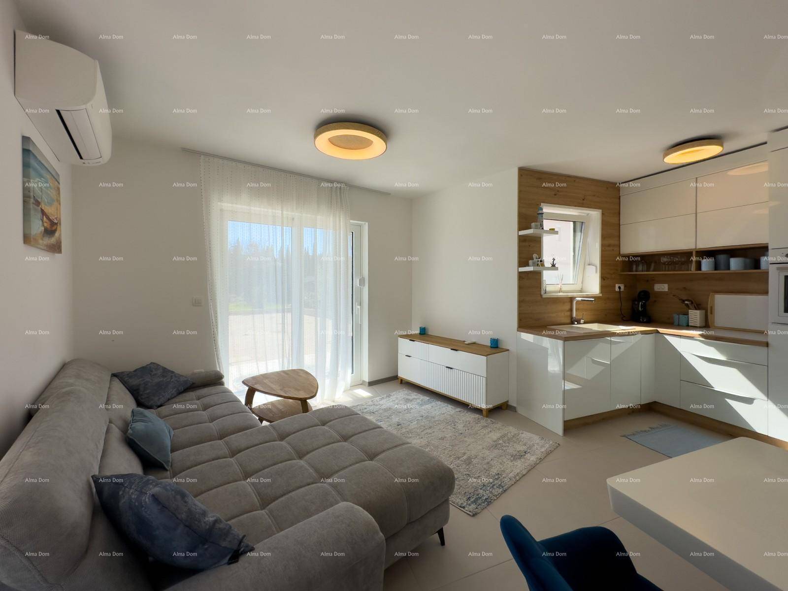 Lichtdurchfluteter Wohnbereich mit Sofa, offener Küche und Zugang zum Außenbereich.