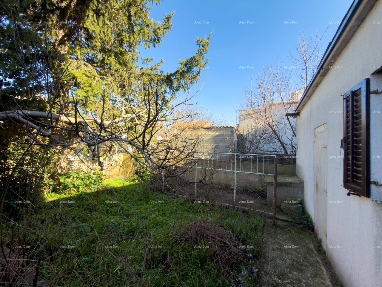 Grüner Gartenbereich mit Zaun und Baumbestand, umgeben von alten Gebäuden.