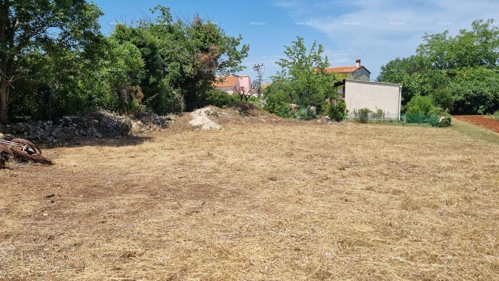 Grundstück mit trockenem Gras und Bäumen, im Hintergrund ein kleines Gebäude unter blauem Himmel.