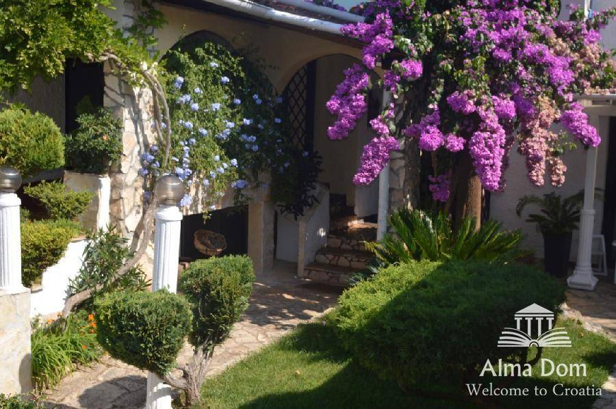 Malerischer Gartenweg mit blühenden Bougainvillea und üppiger Vegetation zum Eingang.
