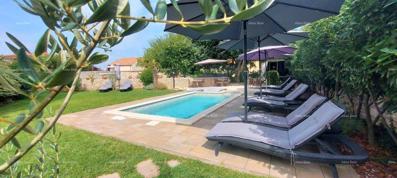 Gepflegter Garten mit Pool, bequemen Liegestühlen und Sonnenschirmen, umgeben von grünen Pflanzen.