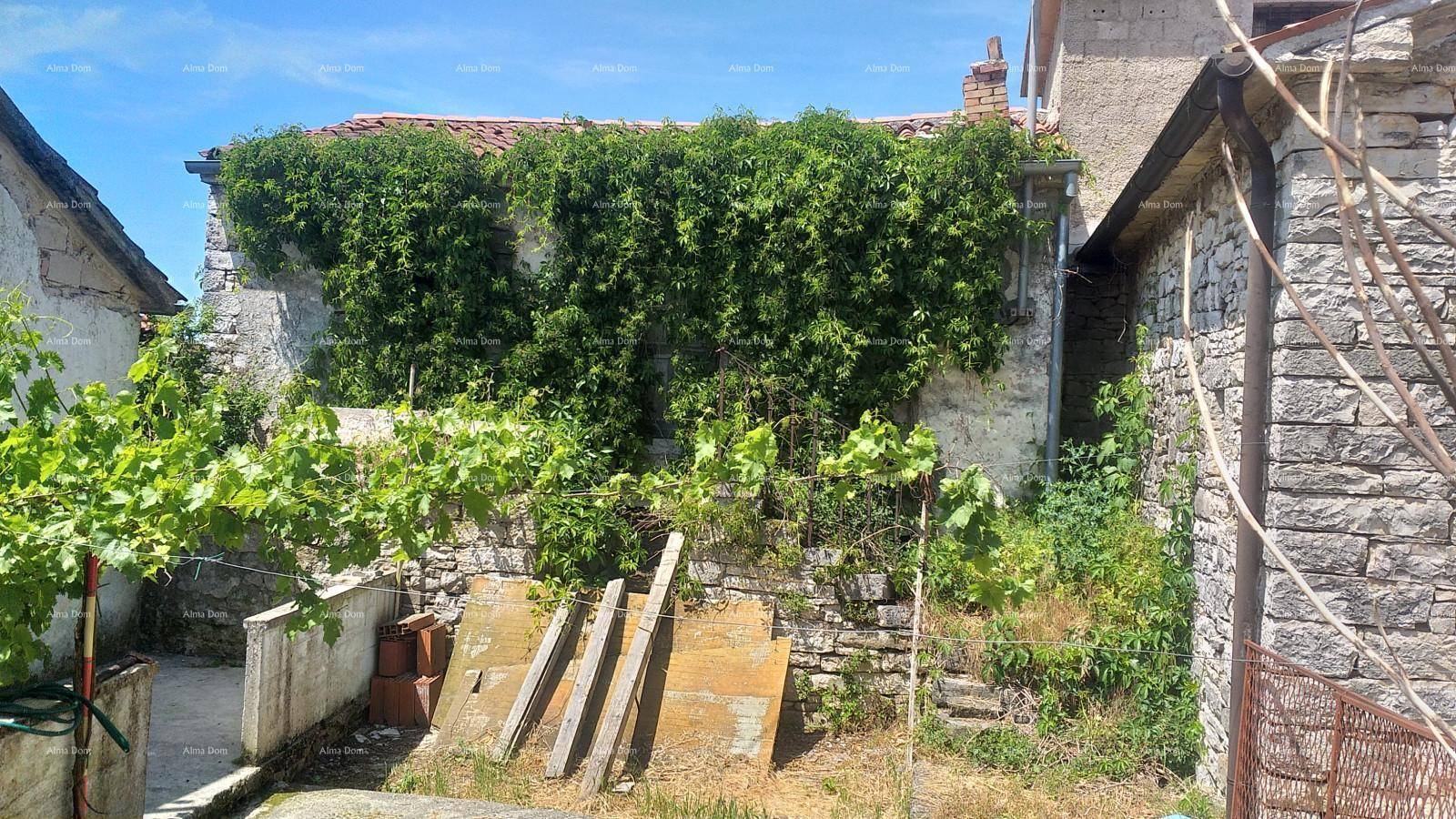 Altes Steinhaus, teilweise von Efeu bewachsen, umgeben von üppiger Vegetation unter klarem Himmel.