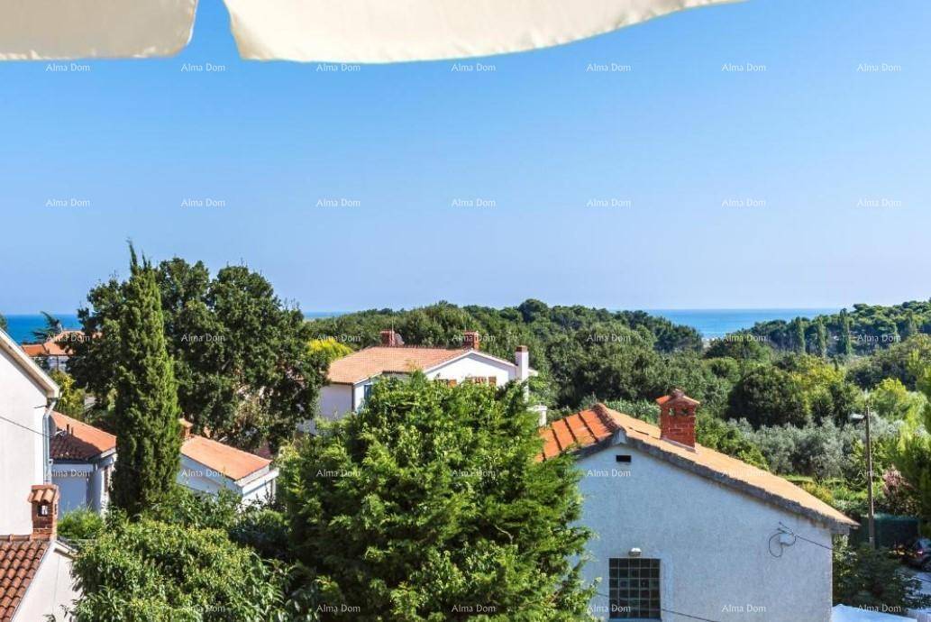 Ausblick von einem Balkon über die Dächer und grüne Landschaft zum Meer.
