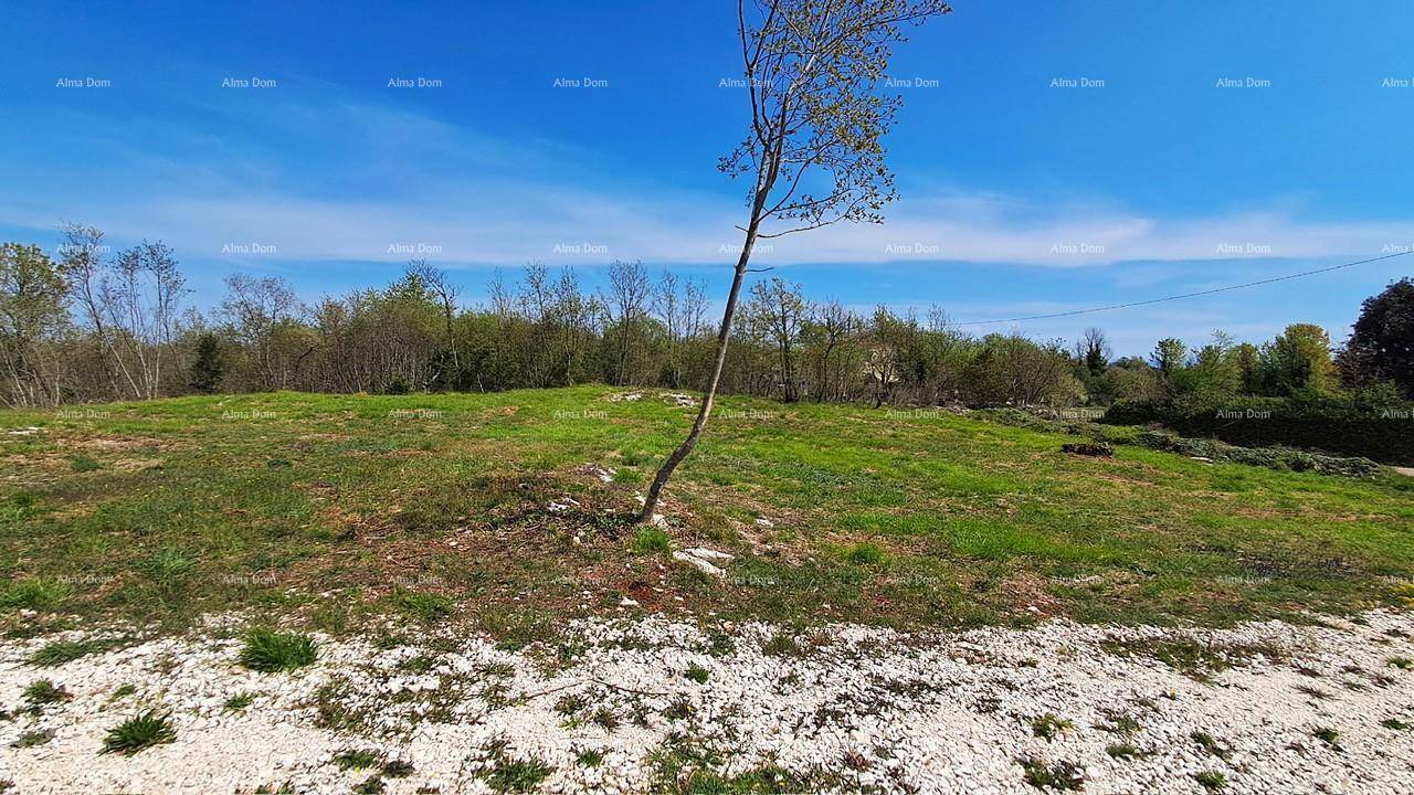 Unbebautes Grundstück mit Gras und Schotter, umgeben von Bäumen und Sträuchern in der Natur.