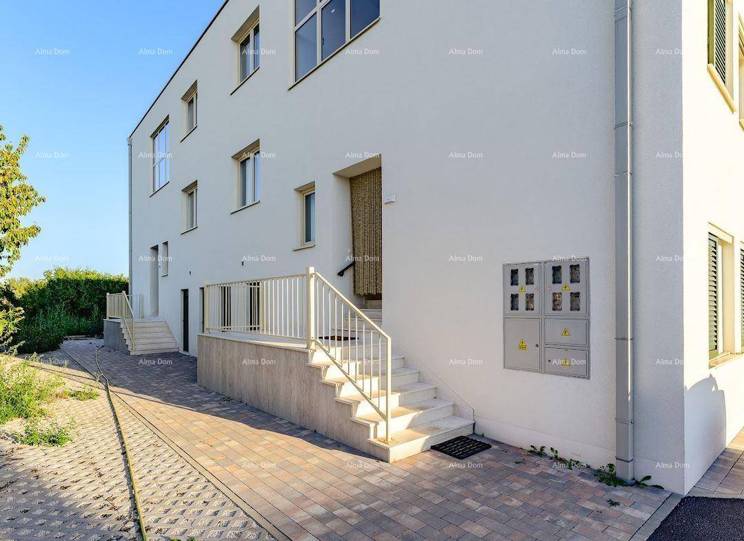 Eingangsbereich eines modernen Gebäudes mit Außentreppe und gepflastertem Weg.