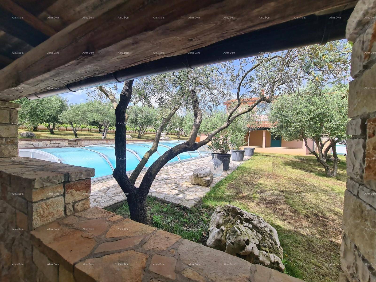 Blick von einer überdachten Steinterrasse auf den Poolbereich mit Olivenbäumen und dem Haus.