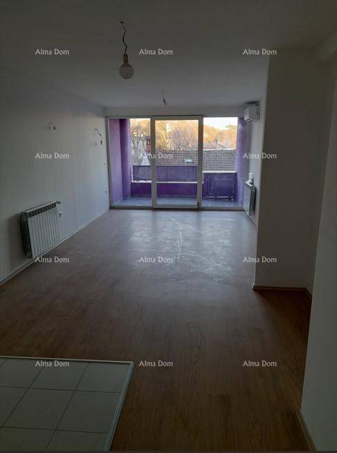 Geräumiger Wohnbereich mit Holzboden, Heizkörper und Zugang zum Balkon.