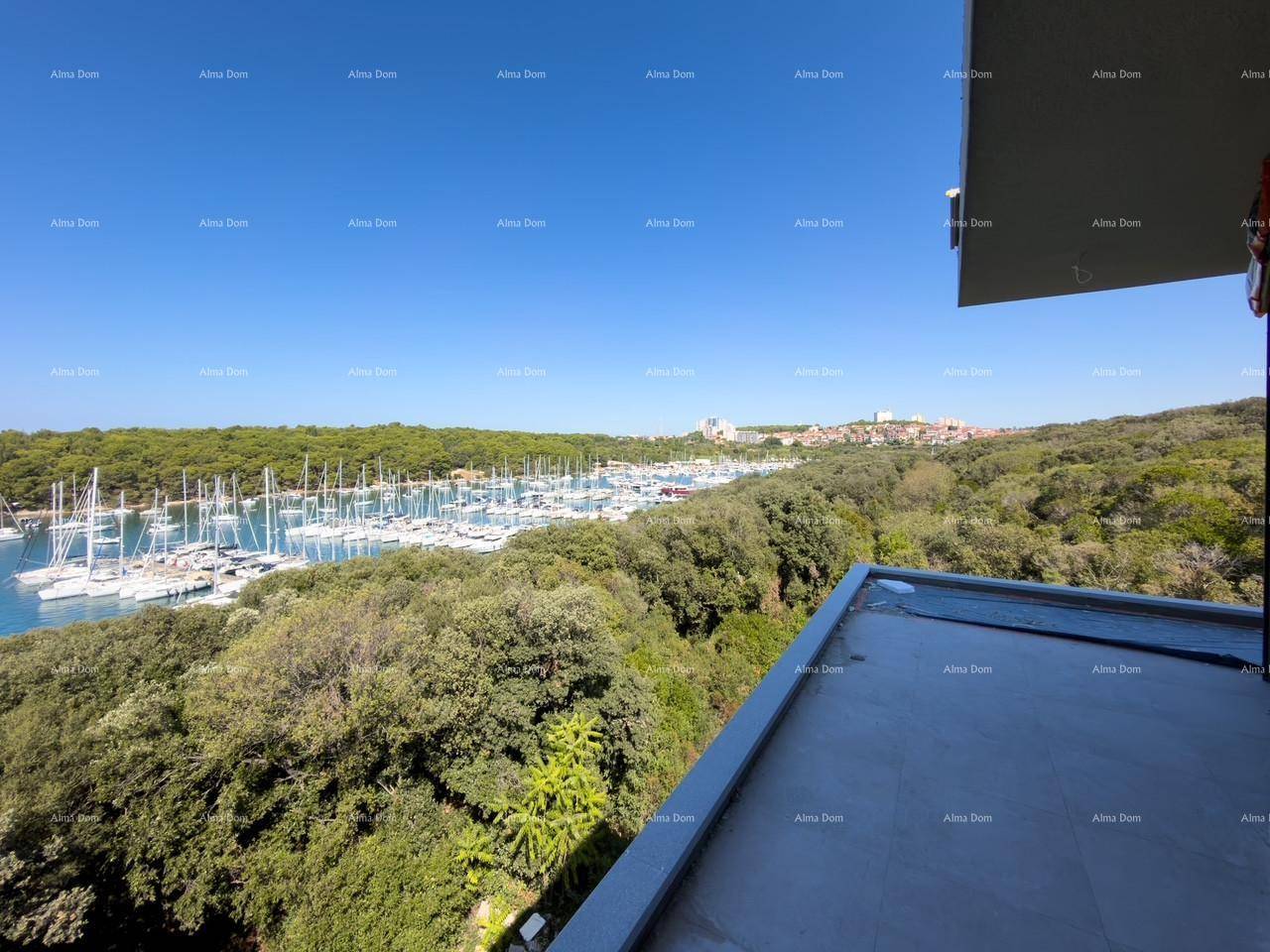 Panoramablick auf einen Yachthafen, umgeben von üppiger grüner Vegetation und klarem Himmel.