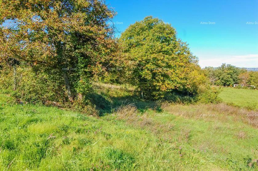 Idyllische Naturlandschaft mit üppigem Grün und Bäumen, die Ruhe und Weite ausstrahlt.
