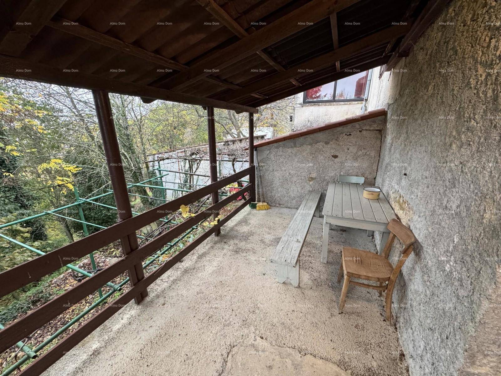 Überdachter Außenbereich mit Holztisch und Stühlen, umgeben von viel Grün.