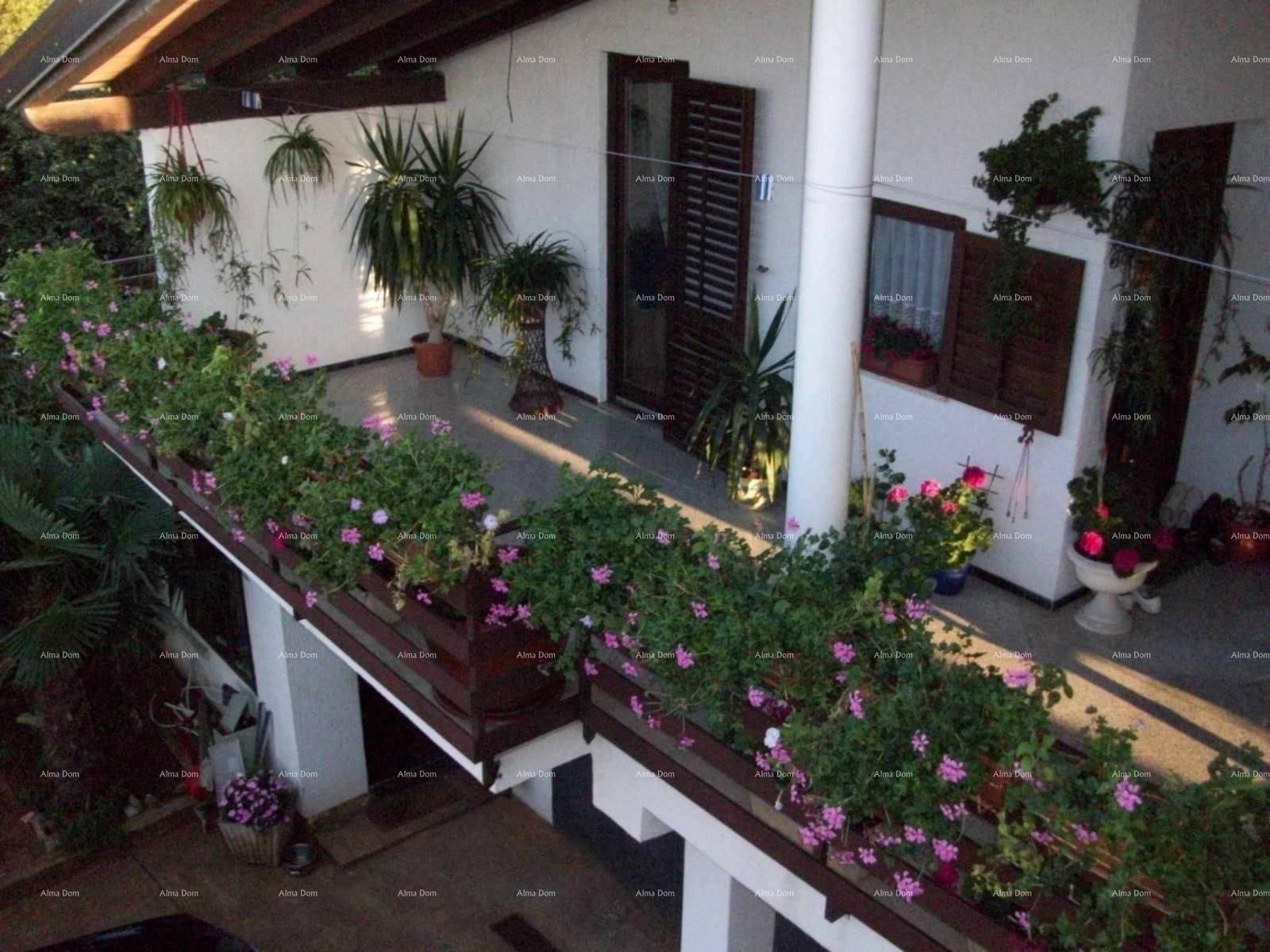 Großer Balkon mit zahlreichen Topfpflanzen und blühenden Blumen.