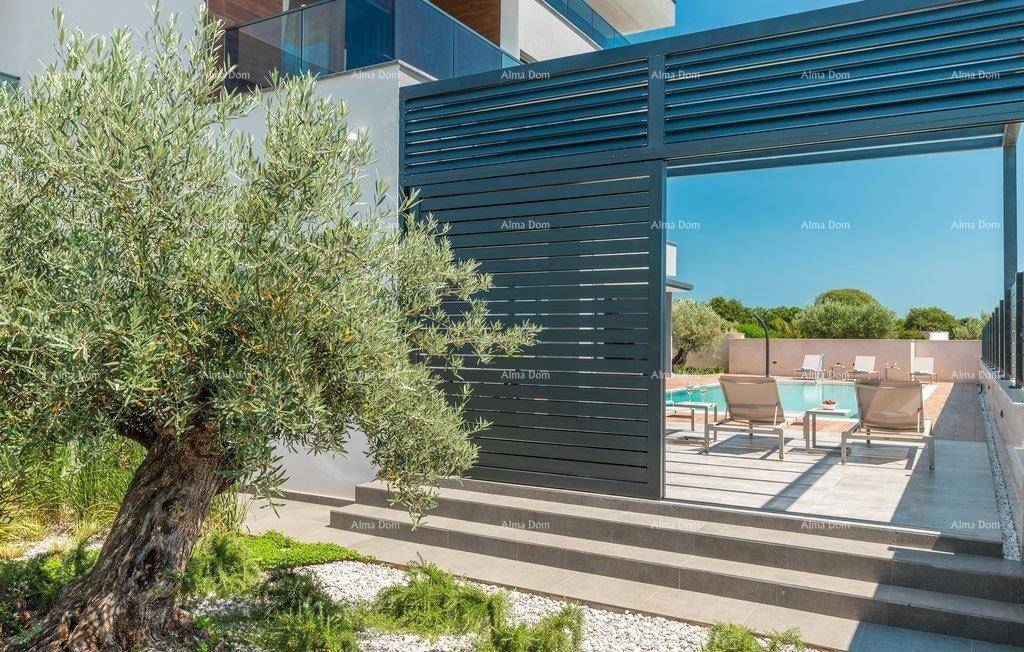 Mediterraner Gartenbereich mit Olivenbaum, Kies und Zugang zum Poolbereich.