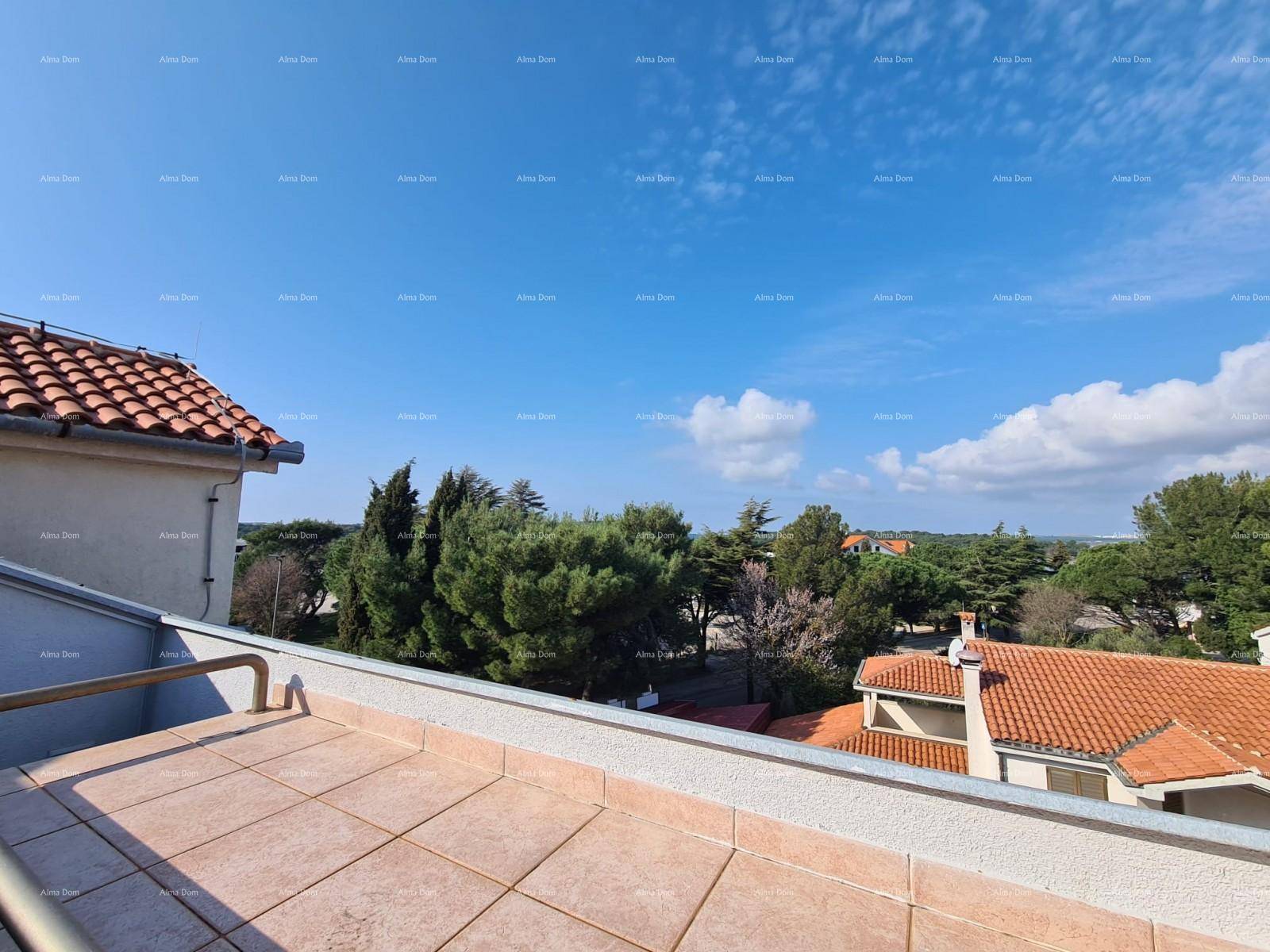Weitblick von der Terrasse über die Dächer der Nachbarschaft und grüne Baumlandschaften.