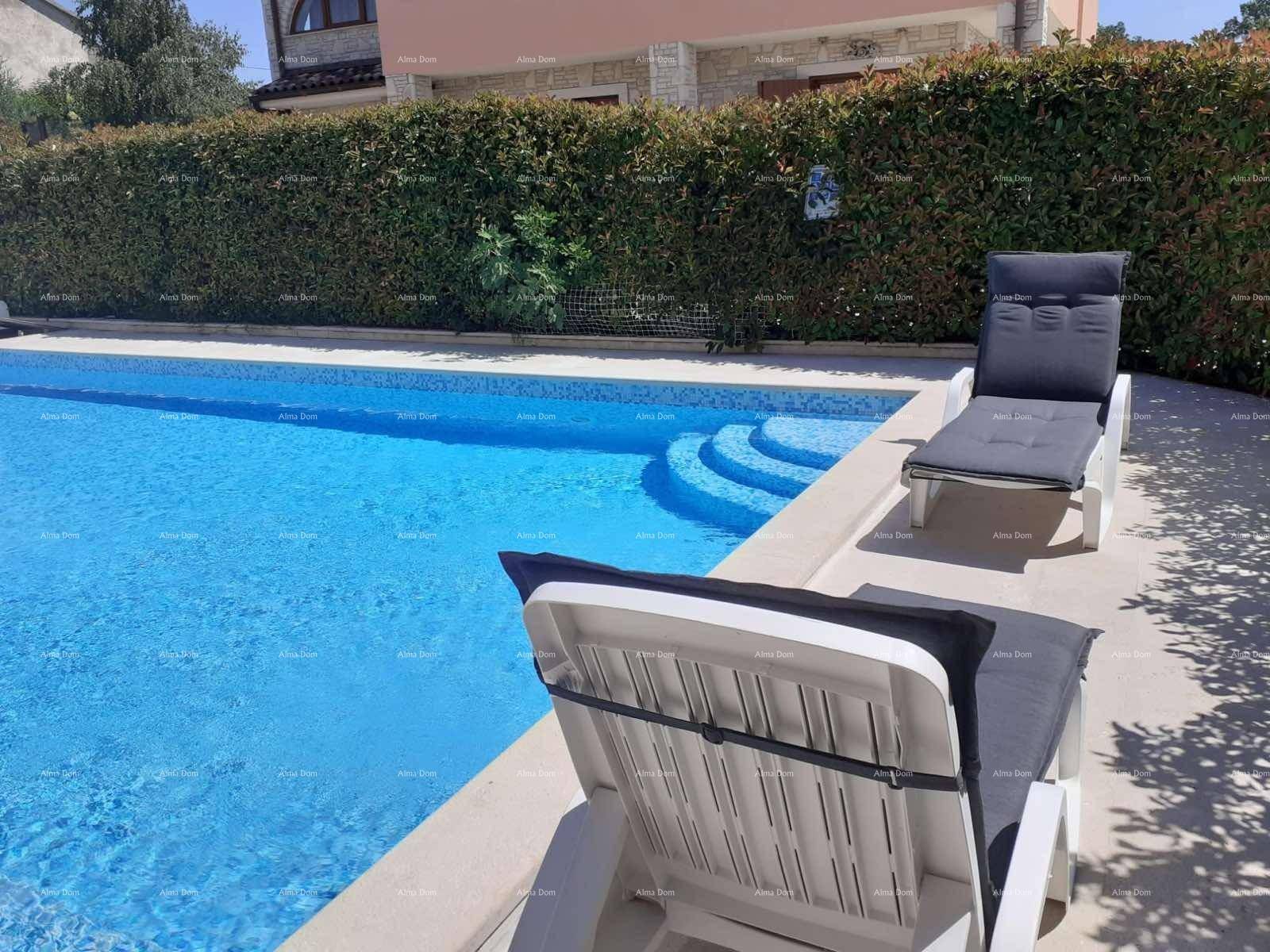 Blauer Pool mit bequemen Liegestühlen und einer grünen Hecke im Hintergrund.