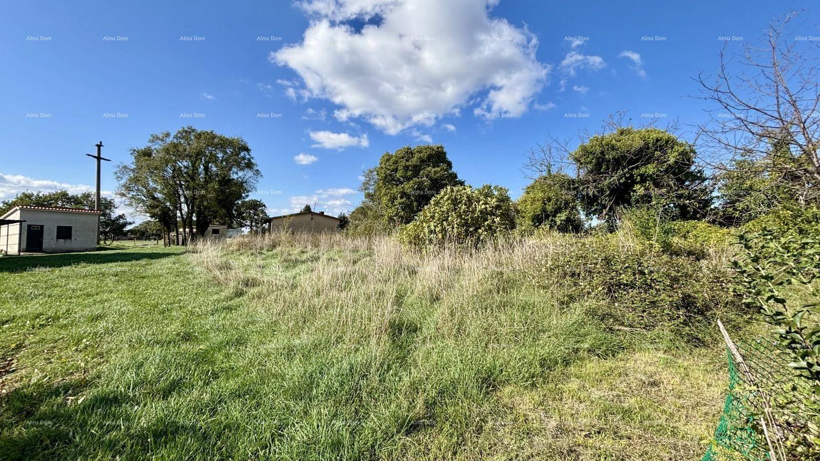 Grünes Grundstück mit hohem Gras, Bäumen und einem Gebäude im Hintergrund unter blauem Himmel.