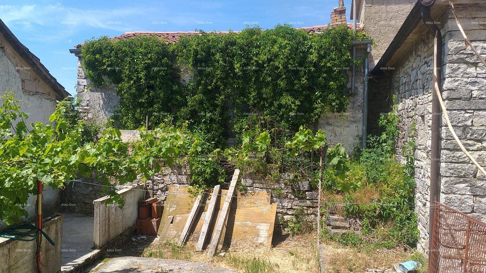 Altes, von Pflanzen bewachsenes Steinhaus mit einem Weinberg im Vordergrund bei sonnigem Wetter.