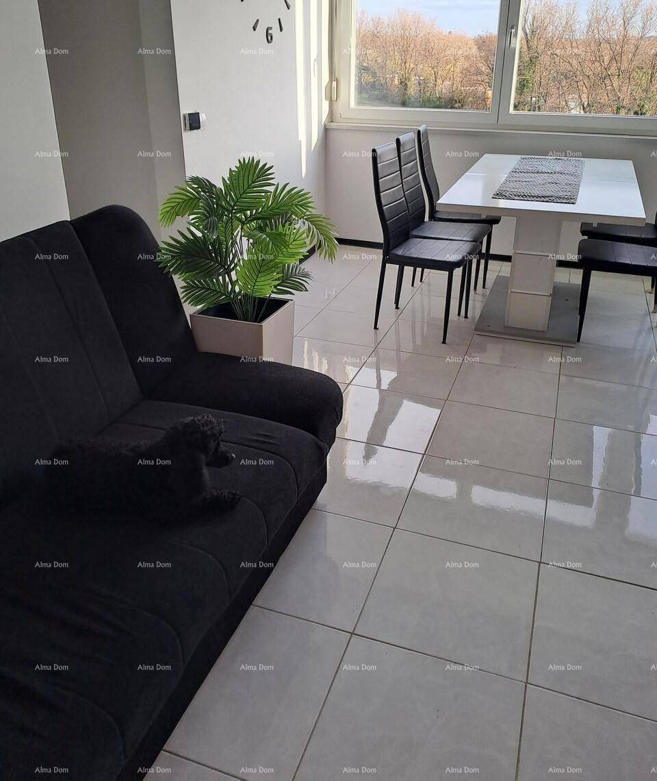 Gemütlicher Wohnbereich mit dunklem Sofa, Zimmerpflanze und hellem Fliesenboden.