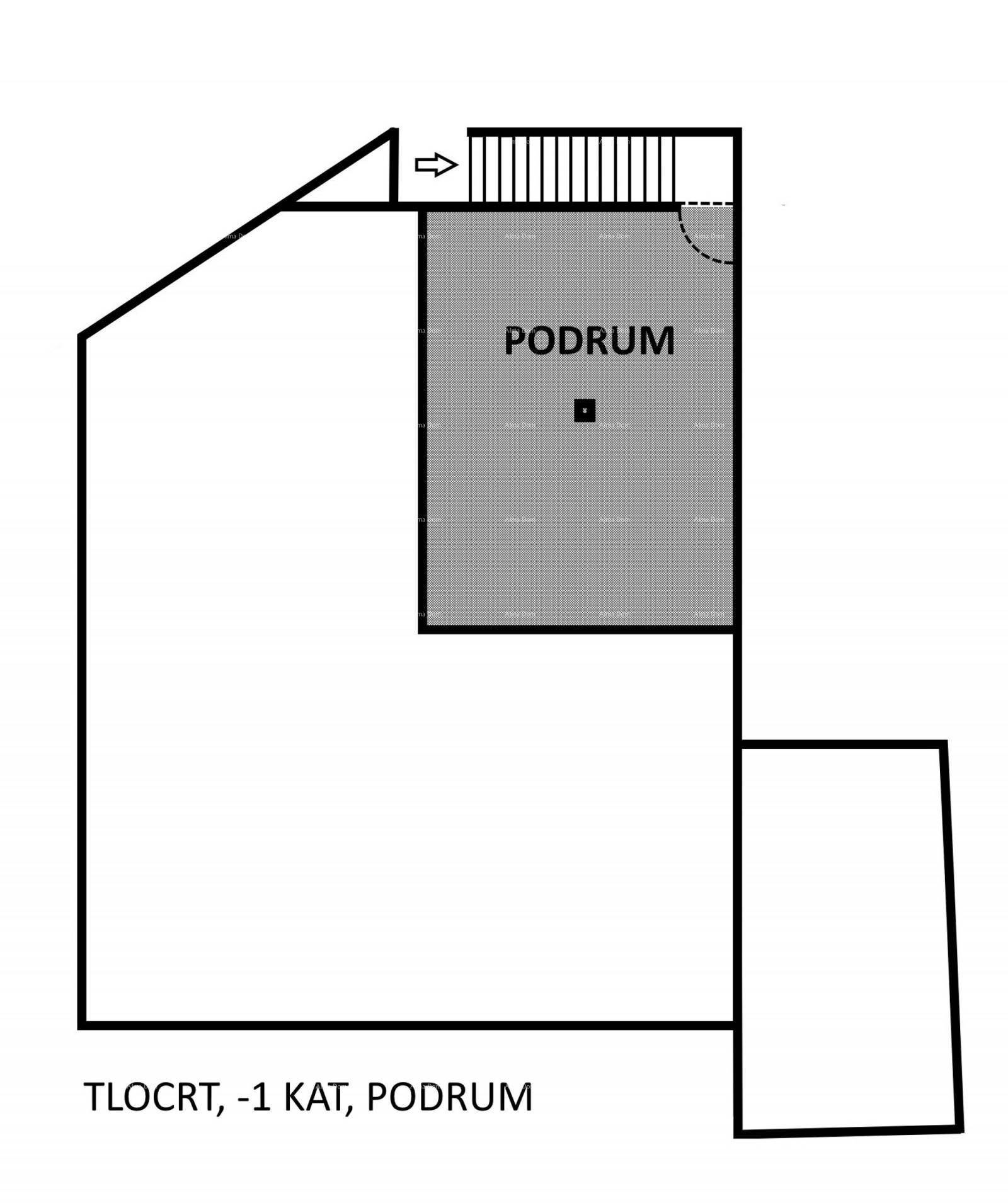 Grundriss des Untergeschosses mit Kellerraum.
