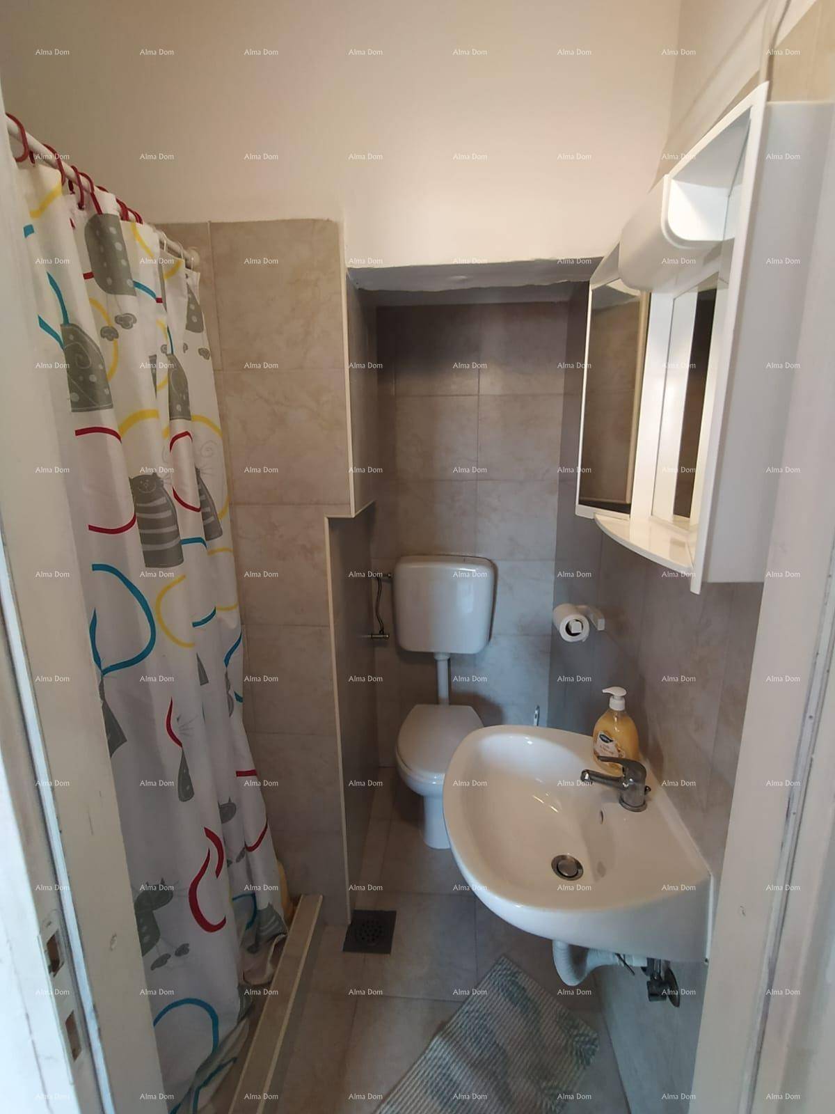 Kleines Badezimmer mit Duschvorhang, Toilette und Waschbecken, praktisch und gefliest.