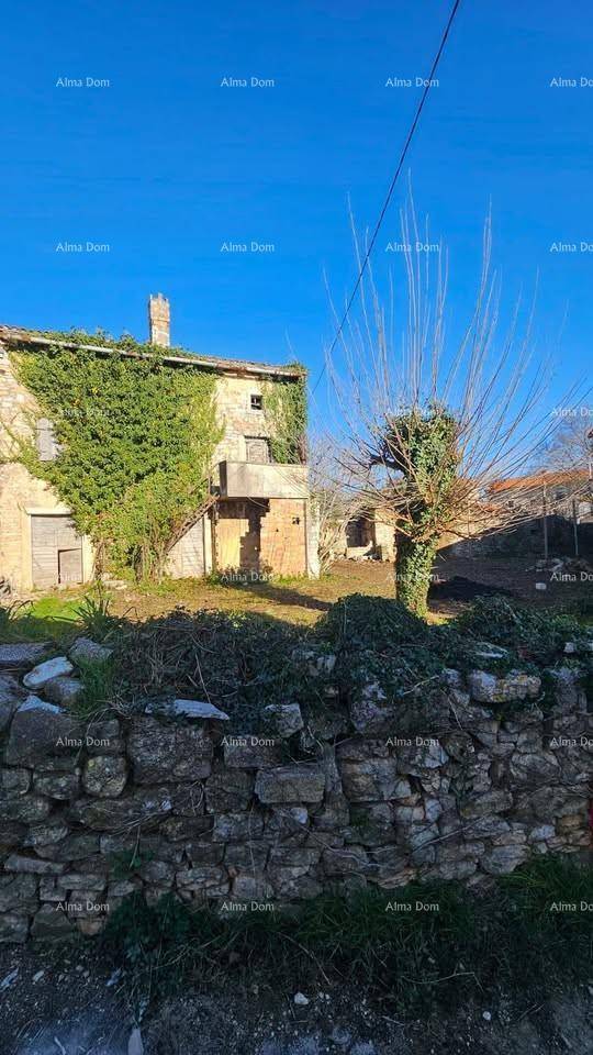 Altes, von Efeu bewachsenes Steinhaus mit einer traditionellen Steinmauer im Vordergrund unter blauem Himmel.