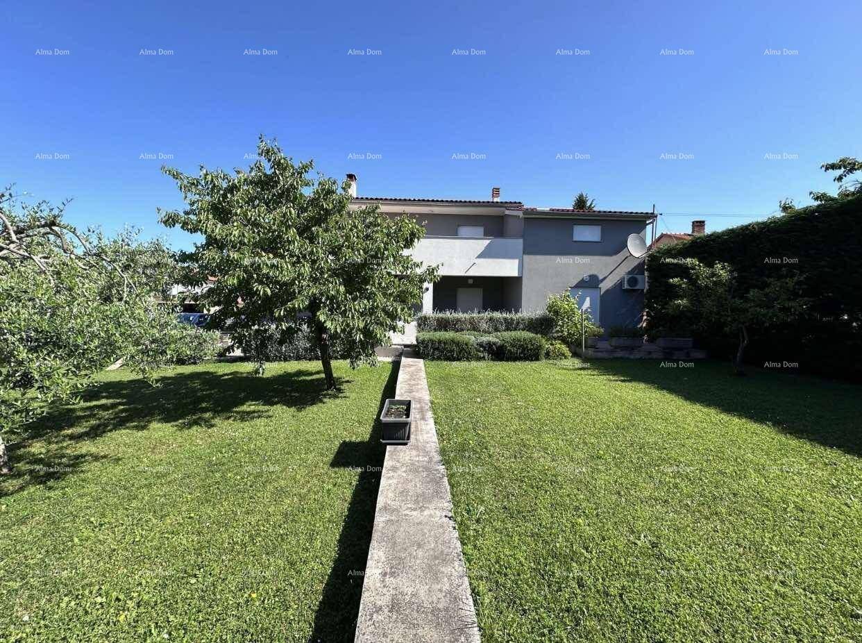 Großer, sonniger Garten mit Rasen, Bäumen und einem Weg, der zum Haus führt.