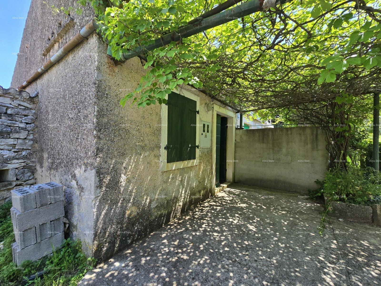 Einfacher Gebäudeeingang mit grünen Fensterläden und einer von Pflanzen bewachsenen Pergola.