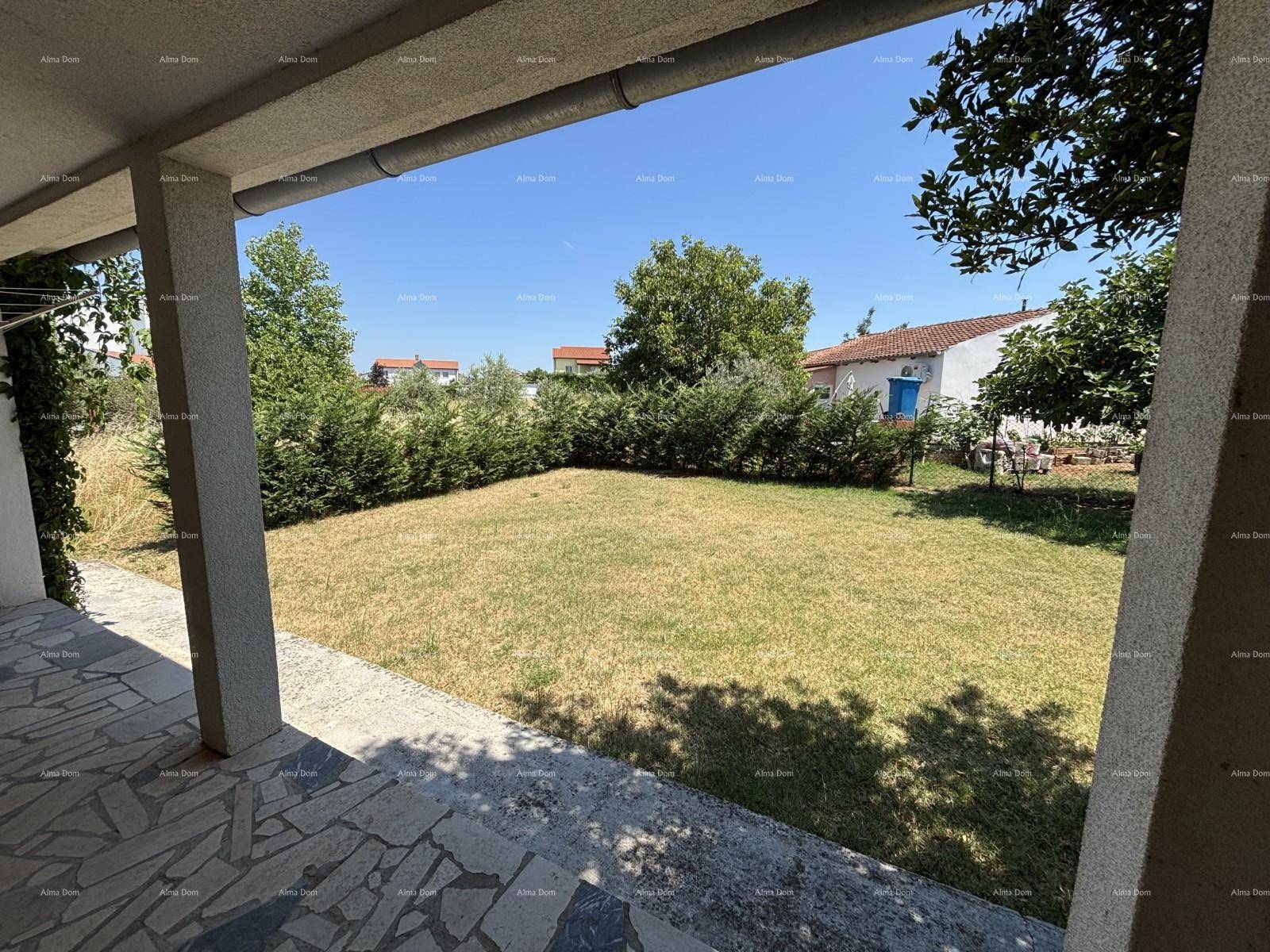 Großer, gepflegter Rasenbereich hinter dem Haus, umgeben von Hecken und Bäumen.