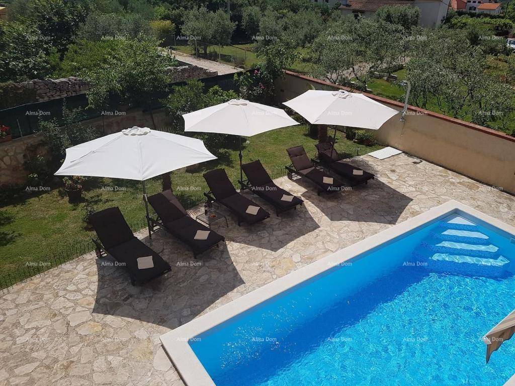 Vogelperspektive des Poolbereichs mit Sonnenliegen und Sonnenschirmen für entspannte Sommertage.