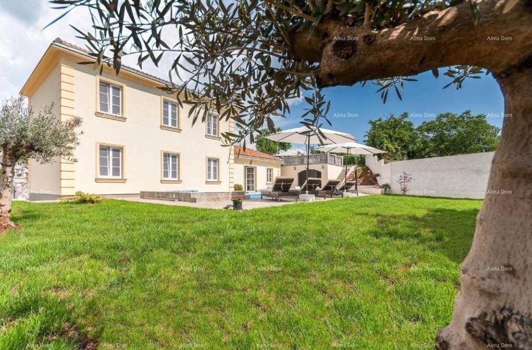 Gepflegter Garten mit Rasenfläche, Olivenbäumen und Blick auf den Poolbereich der Villa.