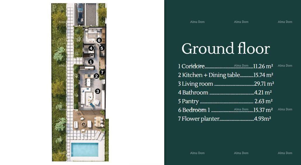 Slide 6