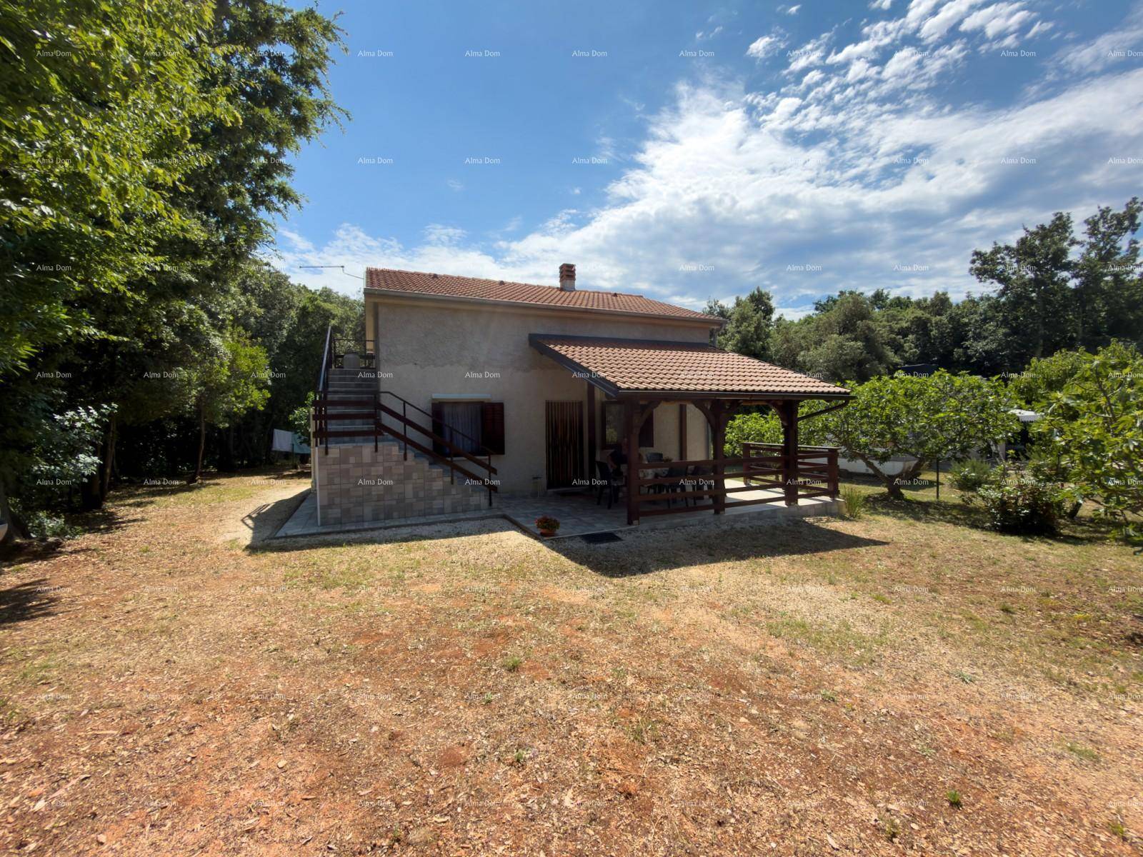 Haus mit überdachter Terrasse und großem Gartenbereich unter blauem Himmel.