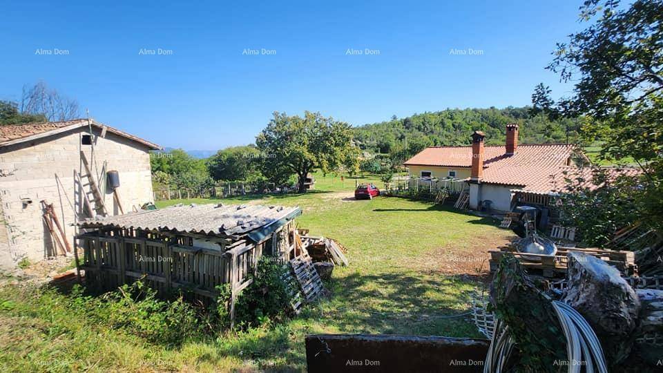 Weitläufiger Gartenbereich mit Rasenfläche, Bäumen und einem weiteren Gebäude im ländlichen Stil.