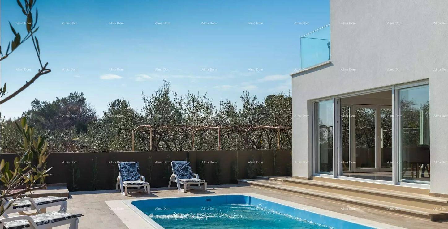 Entspannender Poolbereich mit Liegestühlen und direktem Zugang zum Haus, umgeben von grüner Natur.