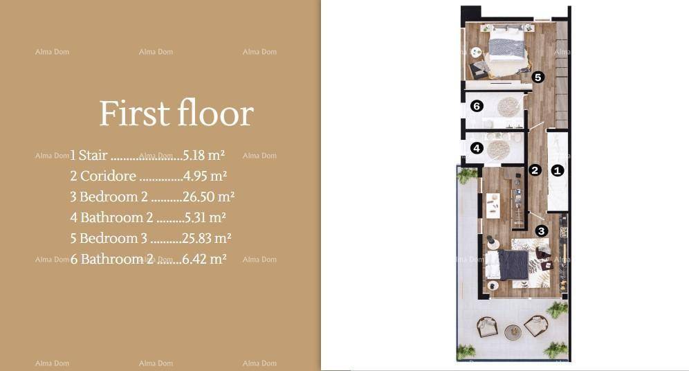 Slide 7