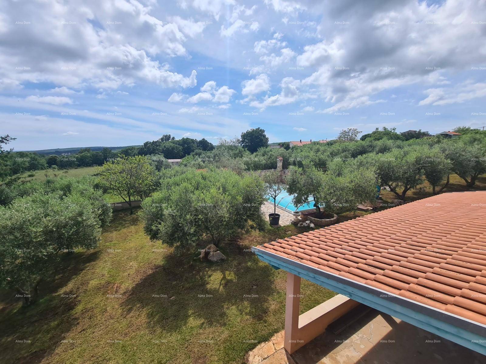 Panoramablick über das Anwesen mit Pool, Olivenbäumen und der umliegenden Landschaft.