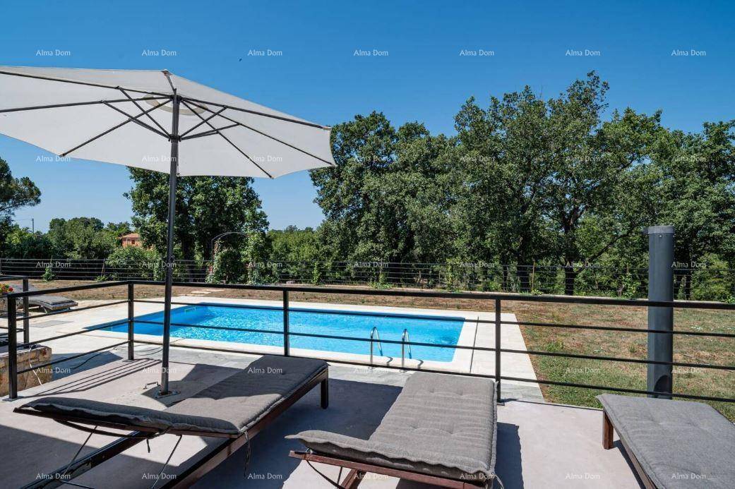 Sonniger Terrassenbereich mit Liegestühlen und großem Sonnenschirm, Blick auf den Pool und die Natur.