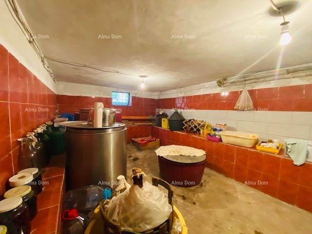 Kellerraum mit roten Fliesenwänden, großen Behältern und verschiedenen Lagergegenständen.