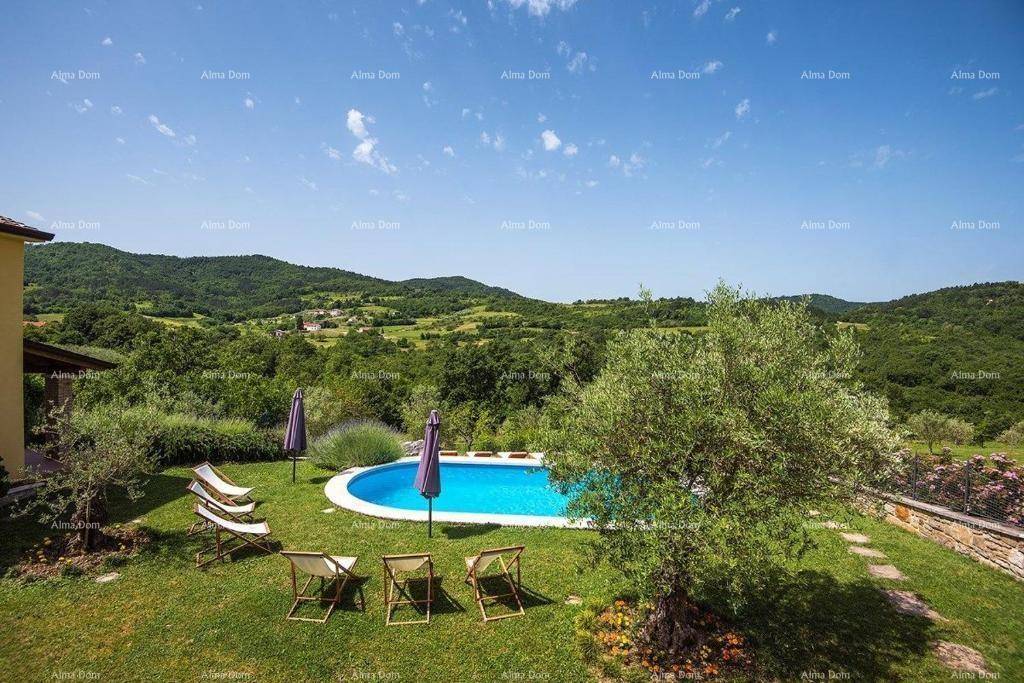 Idyllischer Poolbereich im Garten mit Liegestühlen und Olivenbaum, umgeben von einer malerischen Landschaft.