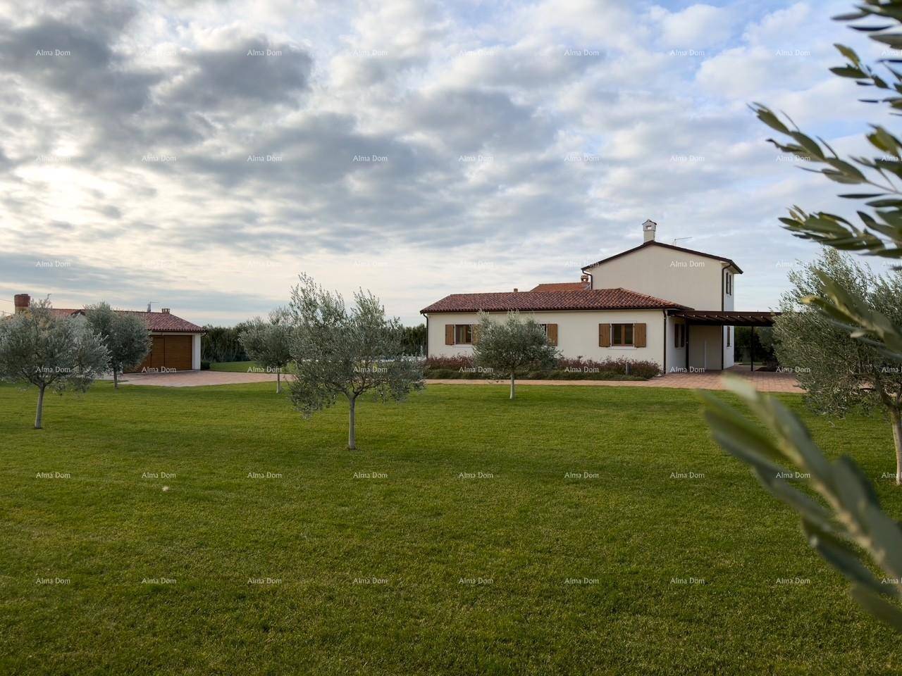 Weitläufiges Anwesen mit großem Rasen, Olivenbäumen und einem charmanten Landhaus im Hintergrund.