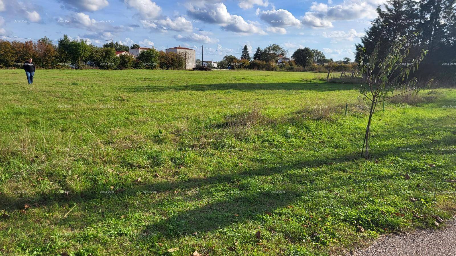Weite Grasfläche mit vereinzelten Bäumen und einem Spaziergänger in der Ferne unter blauem Himmel.